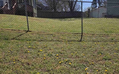 Photo of Mike B.'s yard after getting landscaping in Garner, NC