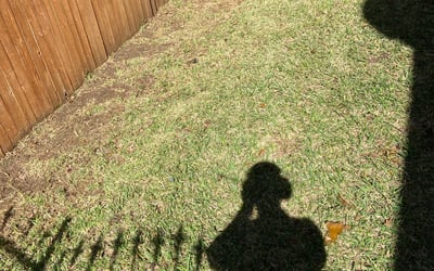 Photo of Shane C.'s yard after getting landscaping in Paluxy, TX