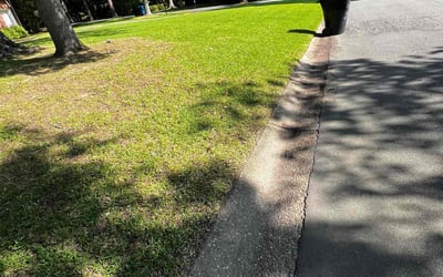 Photo of Michael C.'s yard after getting landscaping in Eure, NC
