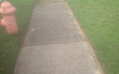 Photo of Jeff G.'s yard after getting landscaping in Galena, OH