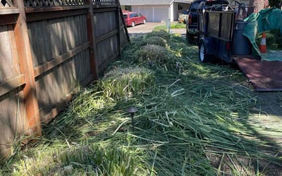 Photo of Rob D.'s yard after getting landscaping in Tualatin, OR