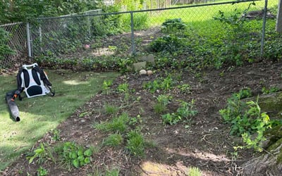 Photo of Anita A.'s yard after getting landscaping in Cincinnati, OH