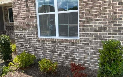 Photo of Adrian W.'s yard after getting tree care in Cordova, TN