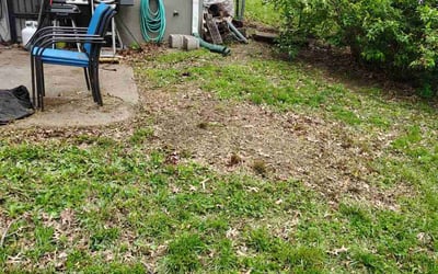 Photo of Amy M.'s yard after getting landscaping in Kansas City, MO