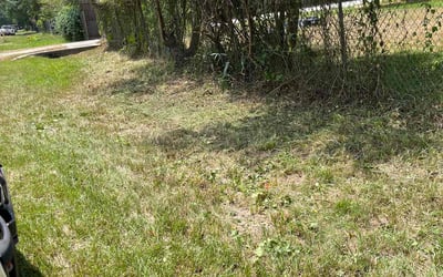 Photo of Adrian A.'s yard after getting tree care in Freeport, TX