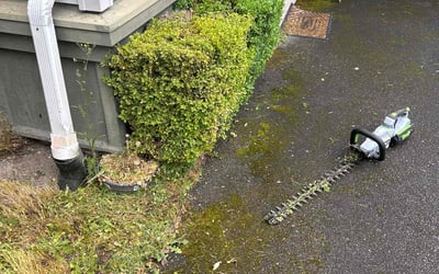 Photo of Linda F.'s yard after getting landscaping in Pacific, WA