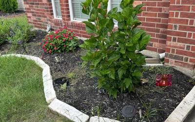 Photo of Valerie H.'s yard after getting landscaping in Kenney, TX
