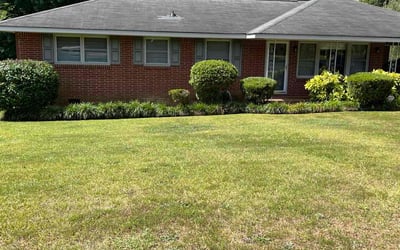 Photo of Mark W.'s yard after getting landscaping in Saint Simons Island, GA