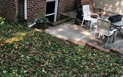 Photo of Nicole S.'s yard after getting landscaping in Fort Lee, VA