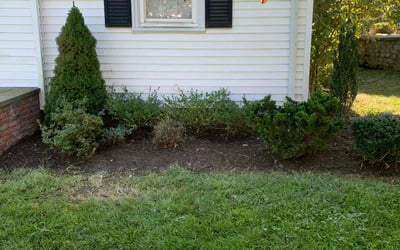 Photo of Sarah B.'s yard after getting landscaping in Wethersfield, CT