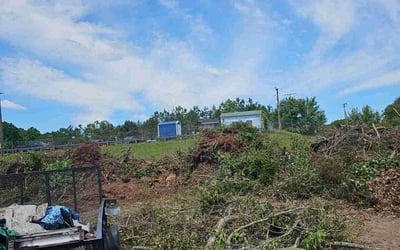 Photo of Bonnie M.'s yard after getting landscaping in Richmond, VA