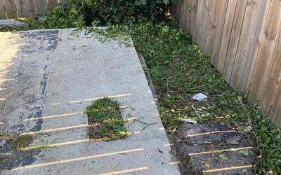 Photo of Samuel A.'s yard after getting landscaping in La Place, LA