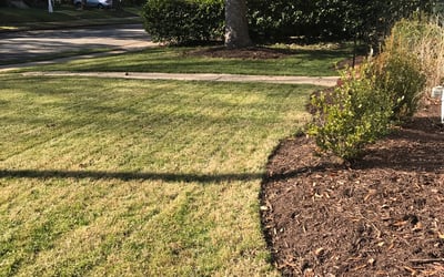 Photo of Suzanne H.'s yard after getting landscaping in University Of Richmond, VA
