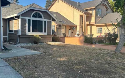 Photo of Janet W.'s yard after getting tree care in Petaluma, CA