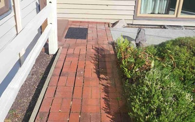 Photo of Jack P.'s yard after getting tree care in Woodinville, WA