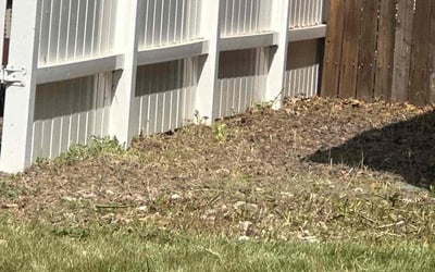 Photo of Ashlee G.'s yard after getting landscaping in Denver, CO