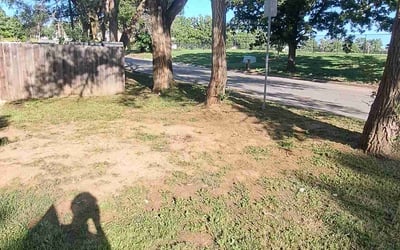 Photo of John W.'s yard after getting landscaping in Rose Hill, KS