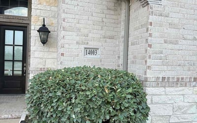 Photo of Tunde O.'s yard after getting landscaping in Frisco, TX