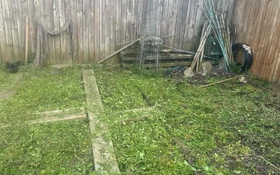 Photo of Janice B.'s yard after getting landscaping in Wilton, CT