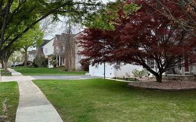 Photo of Jasween S.'s yard after getting landscaping in Sabillasville, MD