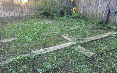 Photo of Janice B.'s yard after getting landscaping in Redding, CT