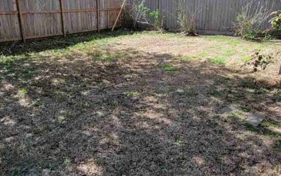 Photo of Sean C.'s yard after getting landscaping in Anahuac, TX