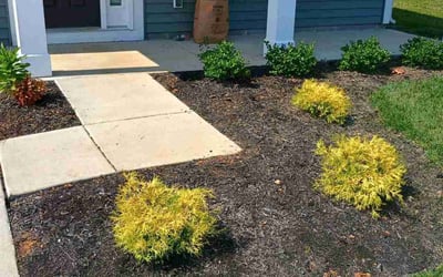 Photo of Ariel F.'s yard after getting landscaping in Floyds Knobs, IN