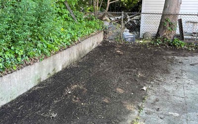Photo of Diane P.'s yard after getting landscaping in Norwell, MA