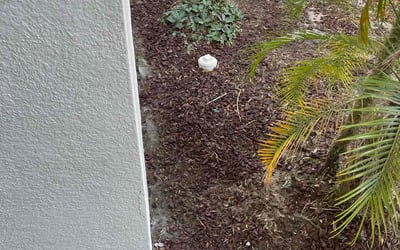 Photo of Nicole R.'s yard after getting landscaping in Haines City, FL