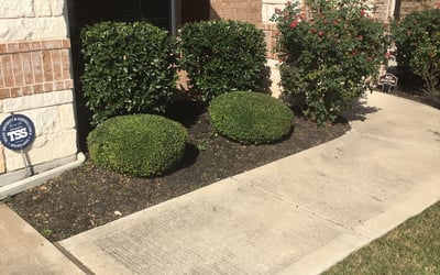 Photo of Jayne M.'s yard after getting landscaping in Paige, TX