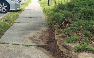 Photo of Valerie D.'s yard after getting landscaping in Exton, PA