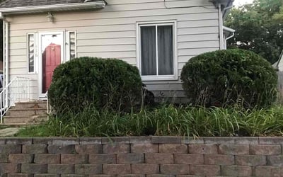 Photo of William R.'s yard after getting landscaping in Rochester, MN