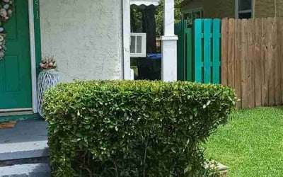 Photo of Shana G.'s yard after getting landscaping in Augusta, GA