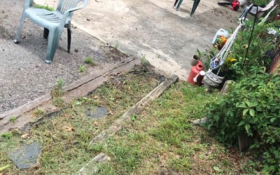 Photo of Linda H.'s yard after getting landscaping in Stony Creek, VA