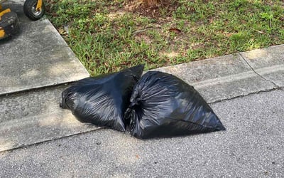 Photo of Mike J.'s yard after getting landscaping in Nichols, FL