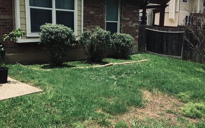 Photo of Monica B.'s yard after getting landscaping in Bandera, TX