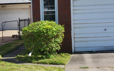 Photo of Mary L.'s yard after getting landscaping in Traverse City, MI