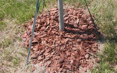 Photo of Robert B.'s yard after getting landscaping in Glen Saint Mary, FL