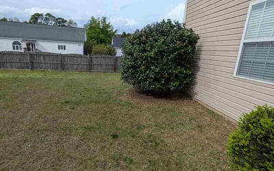 Photo of Paul S.'s yard after getting landscaping in Lexington, SC