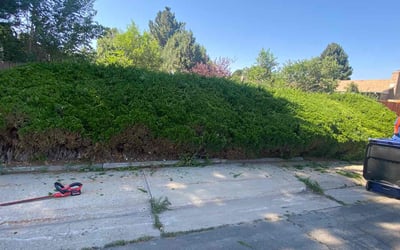 Photo of Sandra V.'s yard after getting landscaping in Rollinsville, CO
