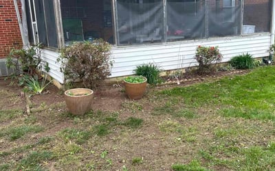 Photo of Scott M.'s yard after getting landscaping in New Castle, DE