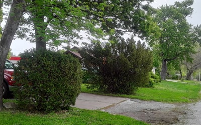 Photo of Ryan F.'s yard after getting landscaping in Lathrop, MO