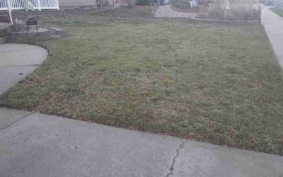 Photo of Fred h.'s yard after getting landscaping in Eastlake, CO