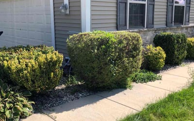 Photo of Kalia Y.'s yard after getting landscaping in Kewaskum, WI