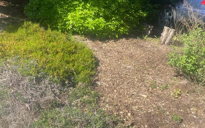 Photo of Sunny N.'s yard after getting landscaping in Ravensdale, WA