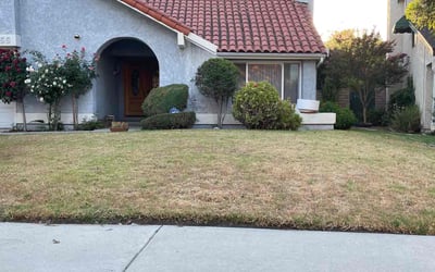 Photo of Cherie H.'s yard after getting landscaping in Calabasas, CA