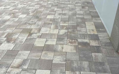 Photo of Kristy S.'s yard after getting tree care in Gibsonton, FL