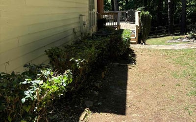 Photo of Taylor M.'s yard after getting landscaping in Tate, GA