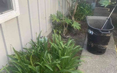 Photo of Rita B.'s yard after getting landscaping in Vallejo, CA
