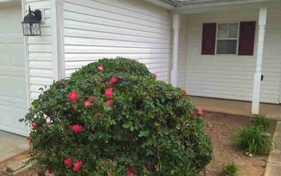 Photo of Sasha G.'s yard after getting landscaping in Monroe, NC